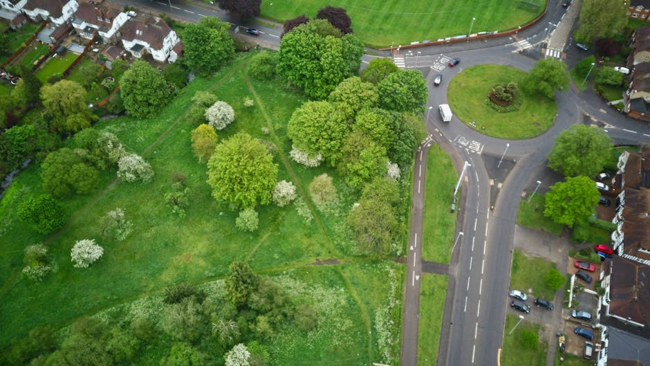 An aerial view of Brockwell Park showing a lush, green open space with a variety of deciduous trees, some with white blossoms, and well-maintained grassy areas. The park is bordered by residential hou